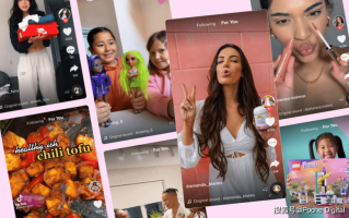 tiktok网页版入口,tiktok网页版