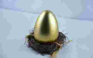 黄金鸡蛋,黄金鸡蛋果