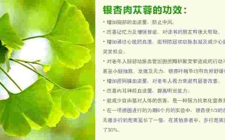 银杏叶滋养膏,银杏叶护肤的功效与作用点