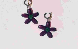 小时候当耳环的植物叫什么来着小时候当耳环的植物叫什么