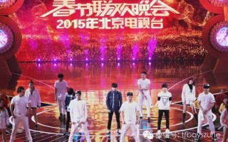 央视春晚总导演陈临春,北京卫视春晚总导演