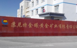 黄金公司是国企还是私企,黄金公司