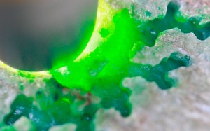 玉石翡翠原石翡翠原石ff