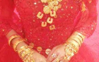 黄金新娘在哪里可以追黄金新娘