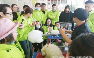 广东专业的宠物学校培训价格表是怎样的？
