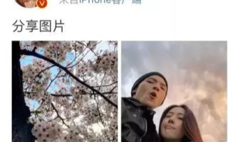 关于一亿多的翡翠手镯到哪买的信息