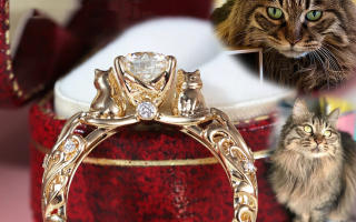 头发做钻石头发做钻石怎么做