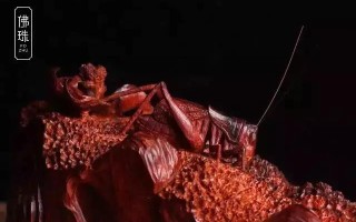 文玩圈里，有哪些恶习是必需知道的？