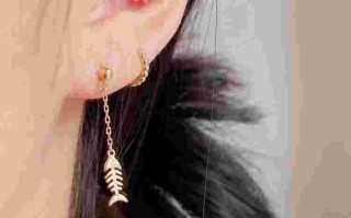 金耳环全集下载,金耳环全集下载免费观看