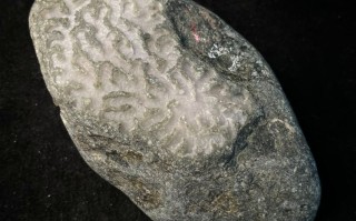 翡翠原石刚切出来的样子,翡翠原石介绍讲解