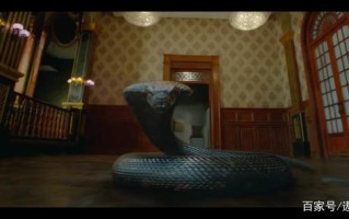 巨型黄金蟒黄金狂蟒