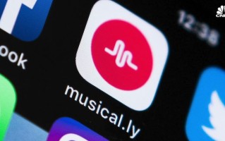 下载tiktok为什么不能看,为什么tiktok也不能看