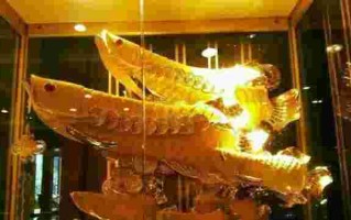 1斤黄金多少钱,100克黄金多少钱