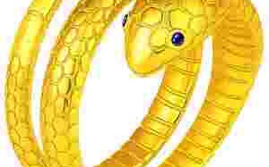黄金蛇图片大全,黄金蛇