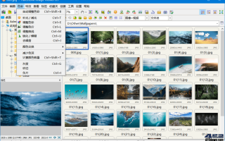 黄金眼图片浏览器怎么下载黄金眼图片浏览器