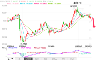 主次节奏：美指上行受阻下落，多头看102.40支撑