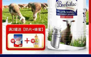 碧蕾,避雷引下线