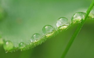 翡翠的鉴定标准知识的简单介绍