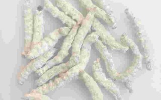 白蚕清润莹白防晒霜好用吗,白蚕清润莹白防晒霜