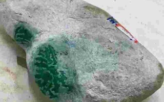 翡翠原石长在什么环境里,翡翠原石长在什么环境里好