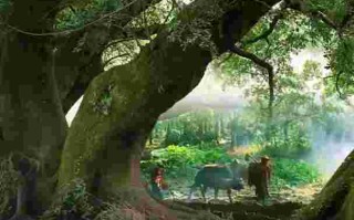 墨尔本的翡翠包车版,墨尔本的翡翠包车版mp3