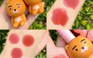 thefaceshop唇彩的简单介绍