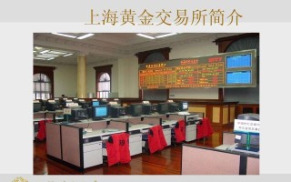 个人在上海黄金交易所交易实物黄金无需,上海黄金交易所个人可以买吗