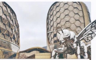 武隆玉石翡翠原石,翡翠原石哪里买