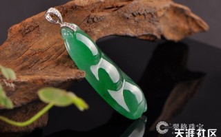 翠格与翠友一起学习缅甸翡翠原石赌石方法 共赢人生豪赌