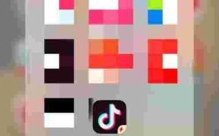 抖音极速版免费下载安装正版苹果手机,抖音极速版免费下载安装正版