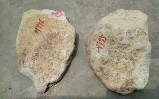 满绿翡翠手镯贵吗满豆绿翡翠手镯的价格