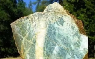 关于有蜻蜓翅的翡翠原石的信息