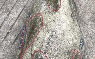 怎么打灯看翡翠原石里面是白肉的简单介绍