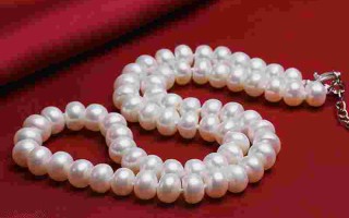 十大珍珠首饰品牌排行榜珍珠饰品品牌排行榜前十名