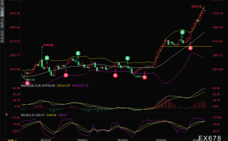 黄金交易提醒：金价再创纪录新高，美国CPI数据重磅来袭！勿忘美联储会议纪要