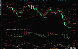 现货黄金交易提醒：美债收益率下跌，金价升至近两周高位，关注美国CPI数据