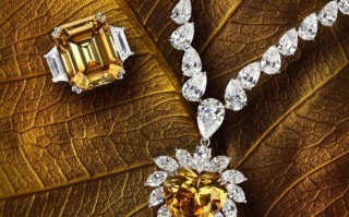 世界顶级珠宝欣赏世界顶级珠宝欣赏图