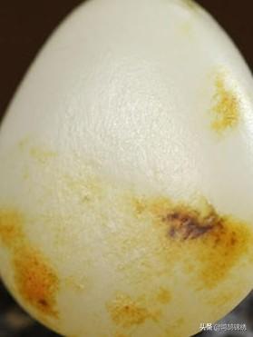 什么是珠宝玉石?-第4张图片-翡翠网 什么是珠宝玉石?-第4张图片-翡翠网