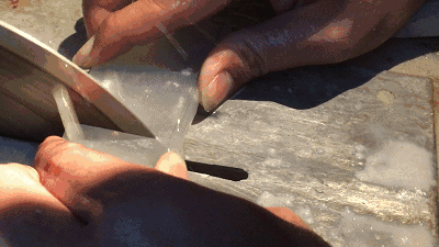 非常普通的翡翠原石可以雕的非常好看么?-第16张图片-翡翠网 非常普通的翡翠原石可以雕的非常好看么?-第16张图片-翡翠网