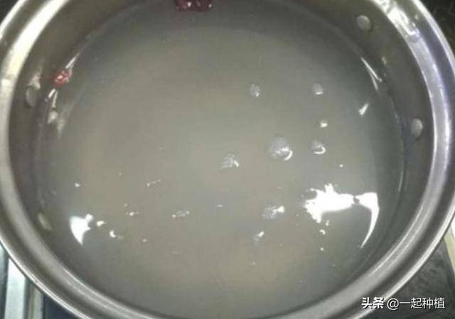 有什么方法让树自然死掉吗？-第4张图片-翡翠网