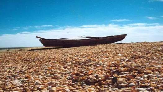 天津有什么风景啊景色啊适合拍照写生的地方?-第34张图片-翡翠网 天津有什么风景啊景色啊适合拍照写生的地方?-第34张图片-翡翠网