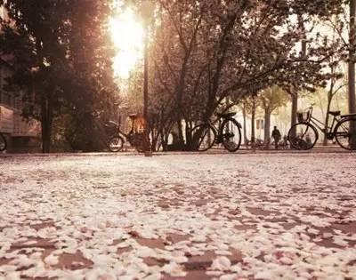 天津有什么风景啊景色啊适合拍照写生的地方?-第71张图片-翡翠网 天津有什么风景啊景色啊适合拍照写生的地方?-第71张图片-翡翠网