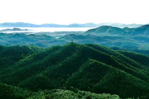 天津有什么风景啊景色啊适合拍照写生的地方?-第12张图片-翡翠网 天津有什么风景啊景色啊适合拍照写生的地方?-第12张图片-翡翠网