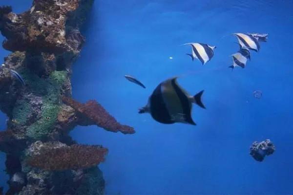 天津有什么风景啊景色啊适合拍照写生的地方?-第15张图片-翡翠网 天津有什么风景啊景色啊适合拍照写生的地方?-第15张图片-翡翠网