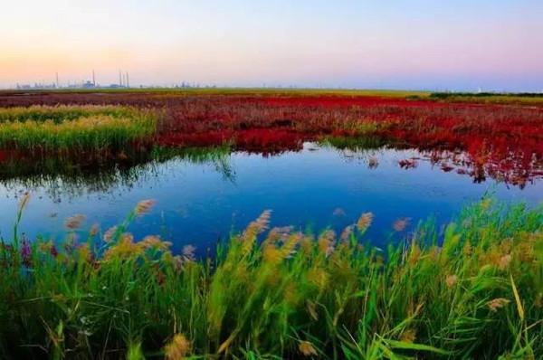 天津有什么风景啊景色啊适合拍照写生的地方?-第100张图片-翡翠网 天津有什么风景啊景色啊适合拍照写生的地方?-第100张图片-翡翠网