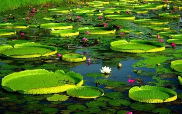 天津有什么风景啊景色啊适合拍照写生的地方?-第64张图片-翡翠网 天津有什么风景啊景色啊适合拍照写生的地方?-第64张图片-翡翠网