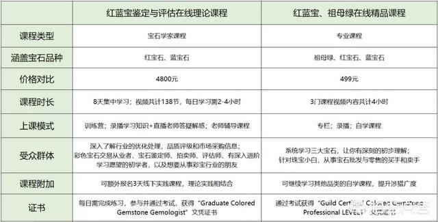 国内有没有什么比较权威的珠宝鉴定线上课程？-第4张图片-翡翠网