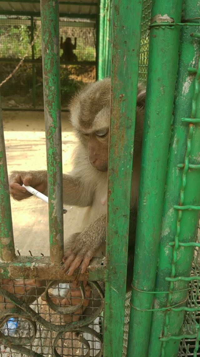 真实的云南缅甸边境是什么样的?-第13张图片-翡翠网 真实的云南缅甸边境是什么样的?-第13张图片-翡翠网