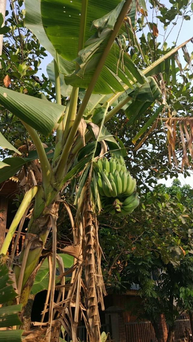 真实的云南缅甸边境是什么样的?-第25张图片-翡翠网 真实的云南缅甸边境是什么样的?-第25张图片-翡翠网