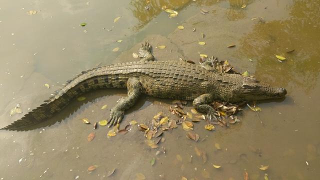 真实的云南缅甸边境是什么样的?-第12张图片-翡翠网 真实的云南缅甸边境是什么样的?-第12张图片-翡翠网